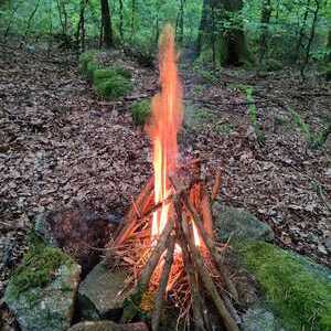 WaldWE