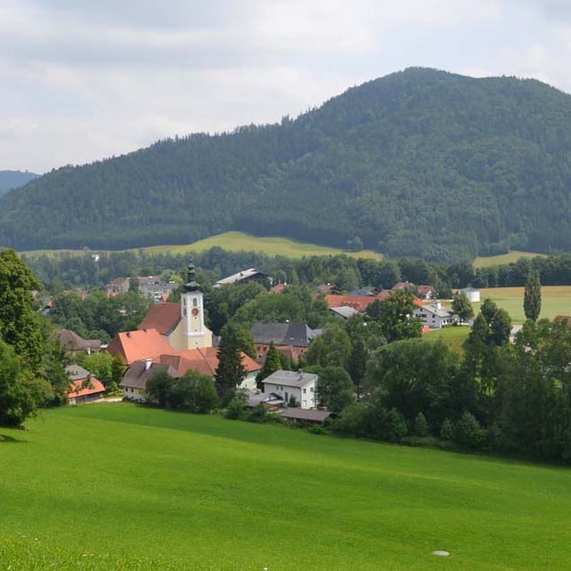 Die Pfarrkirche