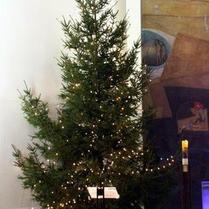 Weihnachtsfest