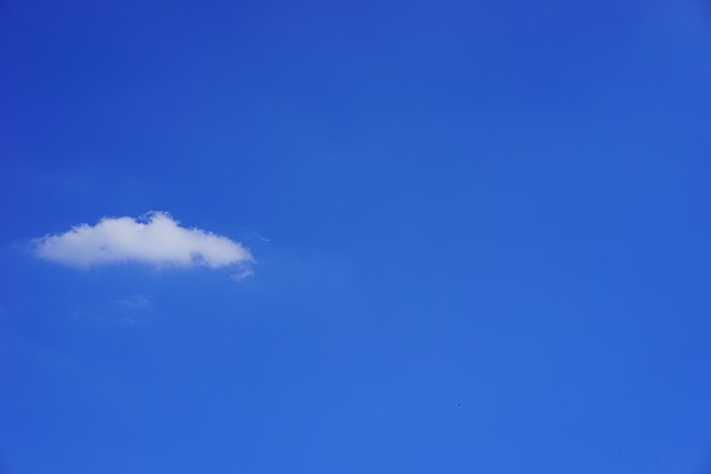 blaue Gruppe