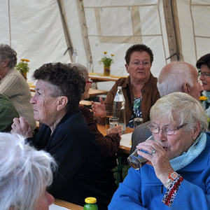 Fest der Freude