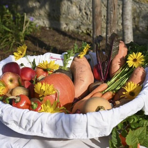 Aus dem Pfarrhofgarten / Erntedankfest 2024