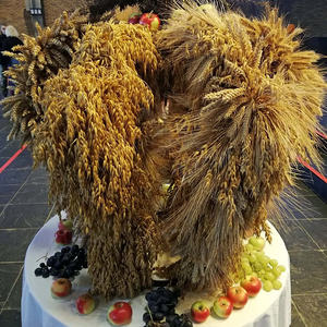 Bild9