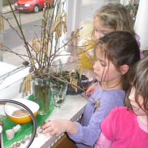 Kindergarten