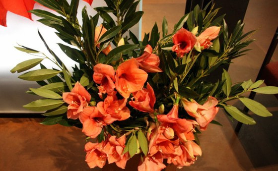 Blumenstrauß