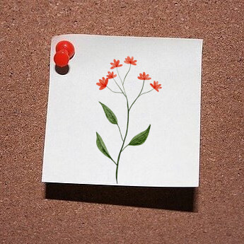 Wochenordnung / © Notiz-UK71-blumen-Piyapong89/pixabay.com/Pixabay License Wochenordnung