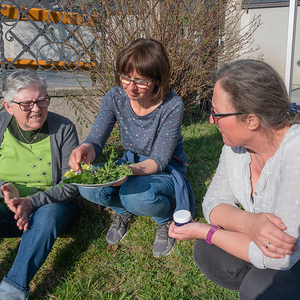 Heilsame Kräuter mit Silvia Buchegger